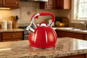 Whistling Kettle-1